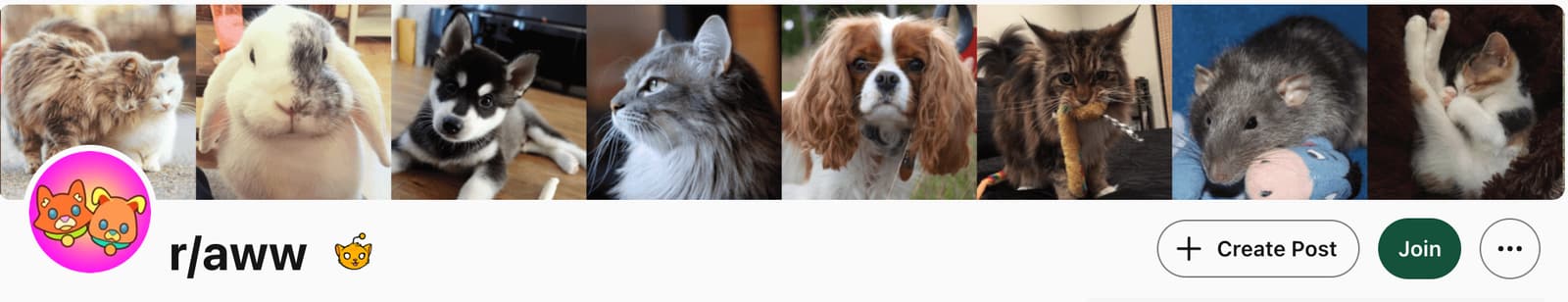 r/aww