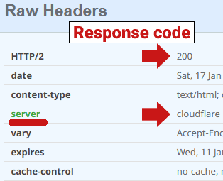 Google On Phantom Noindex Errors In Search Console – Screenshot: 200 Server Response Code