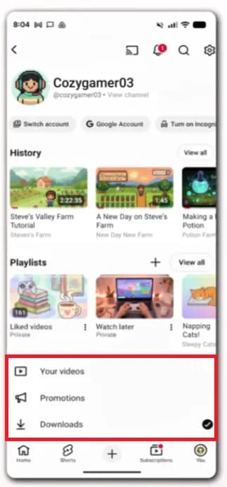 YouTube video management