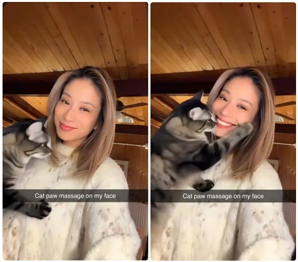 Snapchat Animate it